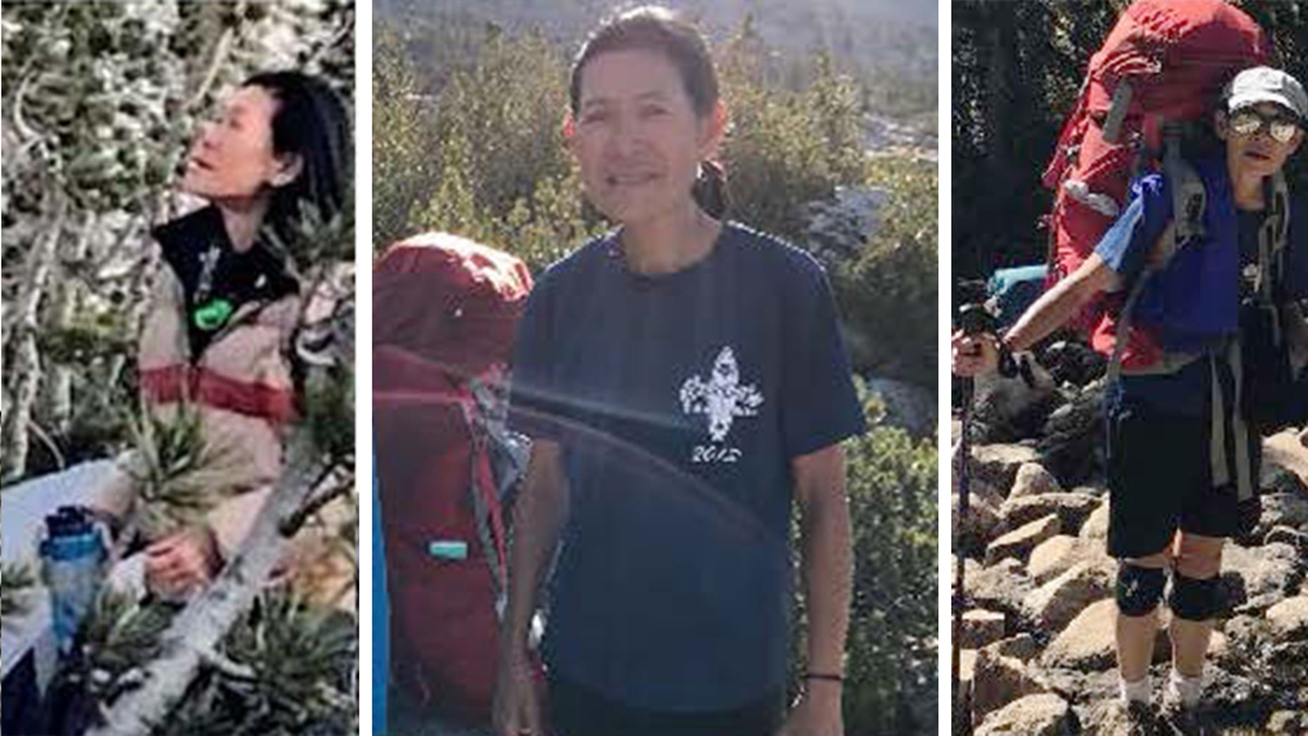 Diane Salmon, 63, who was hiking in Kings Canyon National Park, was 