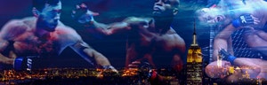 The legalization of mixed martial arts in New York state continues to elude the Ultimate Fighting Championship.