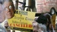 Author Jason Mattera sounds off on the response to rumors the billionaire investors may be interested in the LA Times.