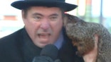 Jimmy the groundhog bites mayor in Wisconsin