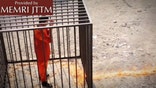 'Brutal' video purports to show Jordanian pilot burned alive