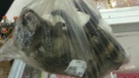 Supermarket under fire for selling whole frozen raccoons
