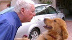 WWII POW's Vets Helping Heroes provides service dogs to wounded veterans