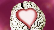 New study links heart to brain