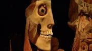 When you step into the “Body Worlds” exhibit in New York’s Times Square you’ll find a unique collection of nearly  human specimens.  Each is preserved and on display to help people strive towards a healthier life