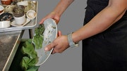 New composting mandate planned for residents
