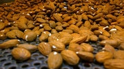 Research: Almonds can reduce cravings