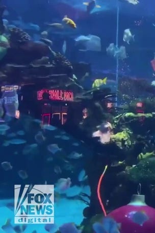 WATCH: SANTA takes a dip!