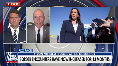 VP Harris missed opportunity to see major scope of border crisis: Vitiello