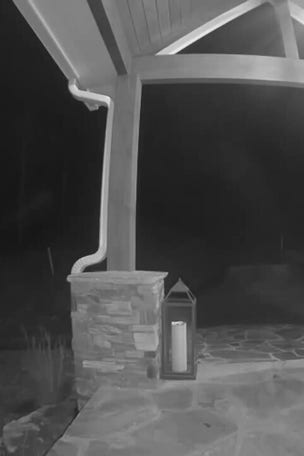 SEE IT: Bagel porch pirate has 'LOX of nerve'