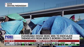 Vulnerable House Dems call on Biden to take action on border collapse