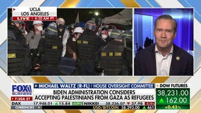 University of Florida is ‘not putting up’ with anti-Israel protests: Rep. Michael Waltz