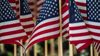 I am a Democrat and I still love my country