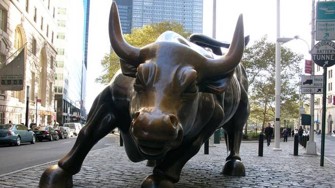 bull