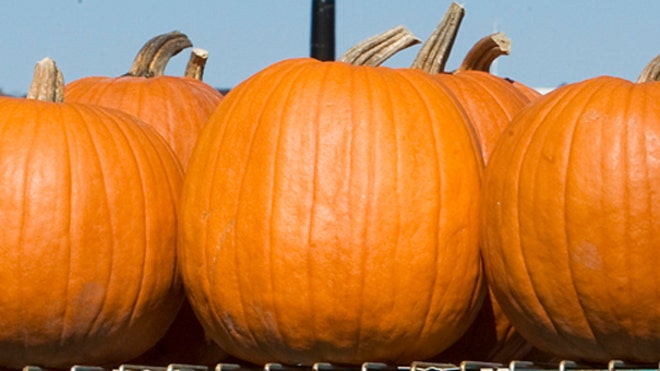 Halloween Costumes on the Go