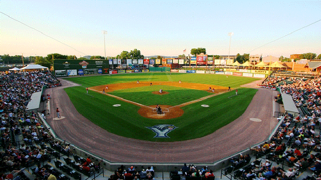 York-Revolution-two.gif