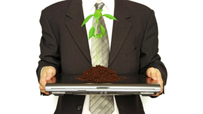 green business