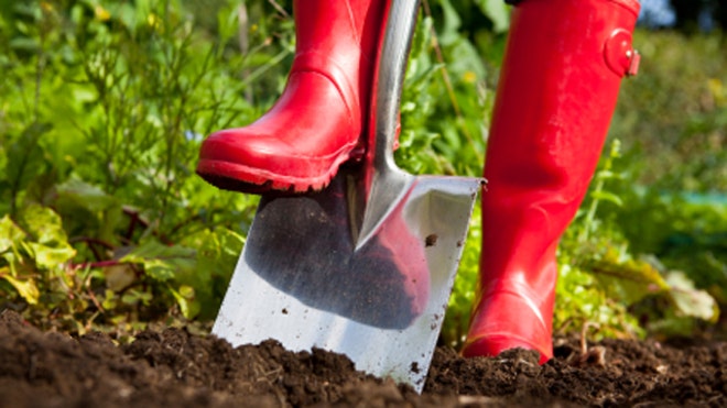 Garden Soil