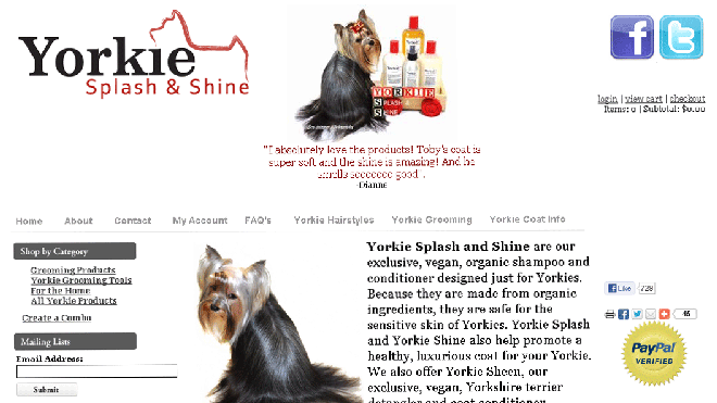 yorkiesplash.jpg