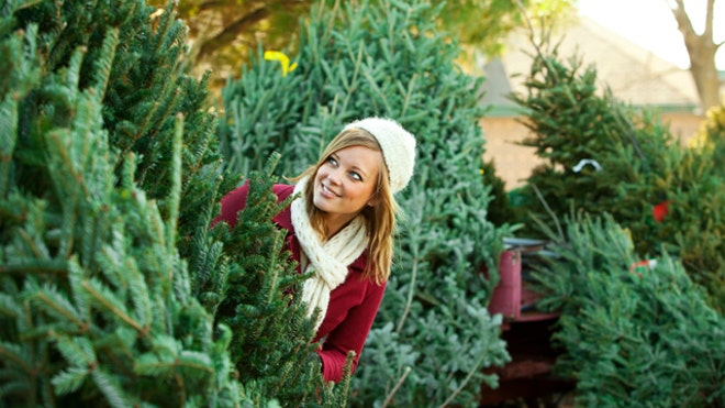 Christmas Tree Shopping