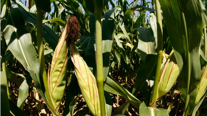 Indiana