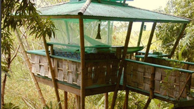 airbnbtreehouse