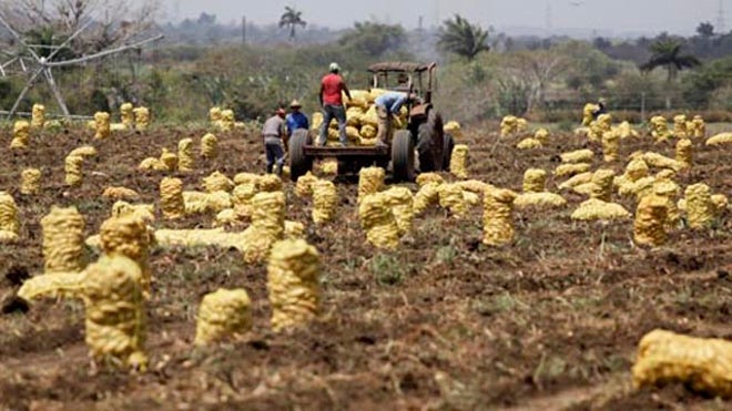 farmworkers