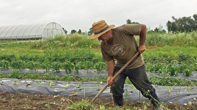 8a697f3541377410VgnVCM200000d6c1a8c0____-Incubator Farms-1.jpg