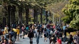 Incoming freshmen will be full of questions when it comes time for their summer orientation--here are the top four questions experts urge students to ask to ensure they are ready to go once fall semester rolls around.