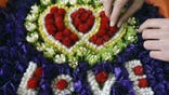 valentine's day, flowers, love