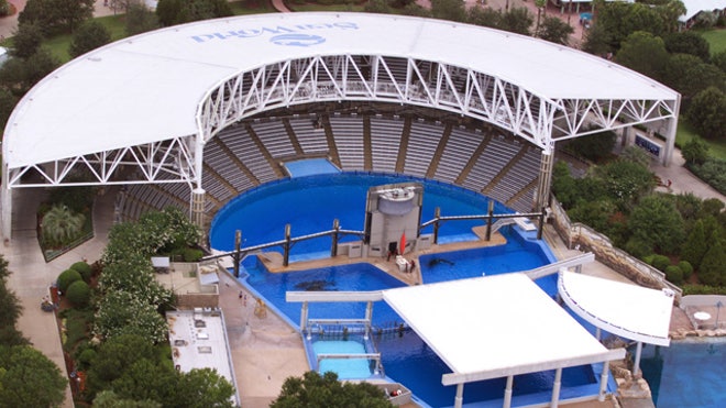 Shamu Stadium at Sea World