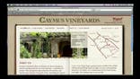 Potential taxes could harm California's vineyards. After all, you can't really relocate a winery.