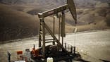 Magnum Hunter Resources CEO Gary Evans on fast-paced growth in the energy sector.