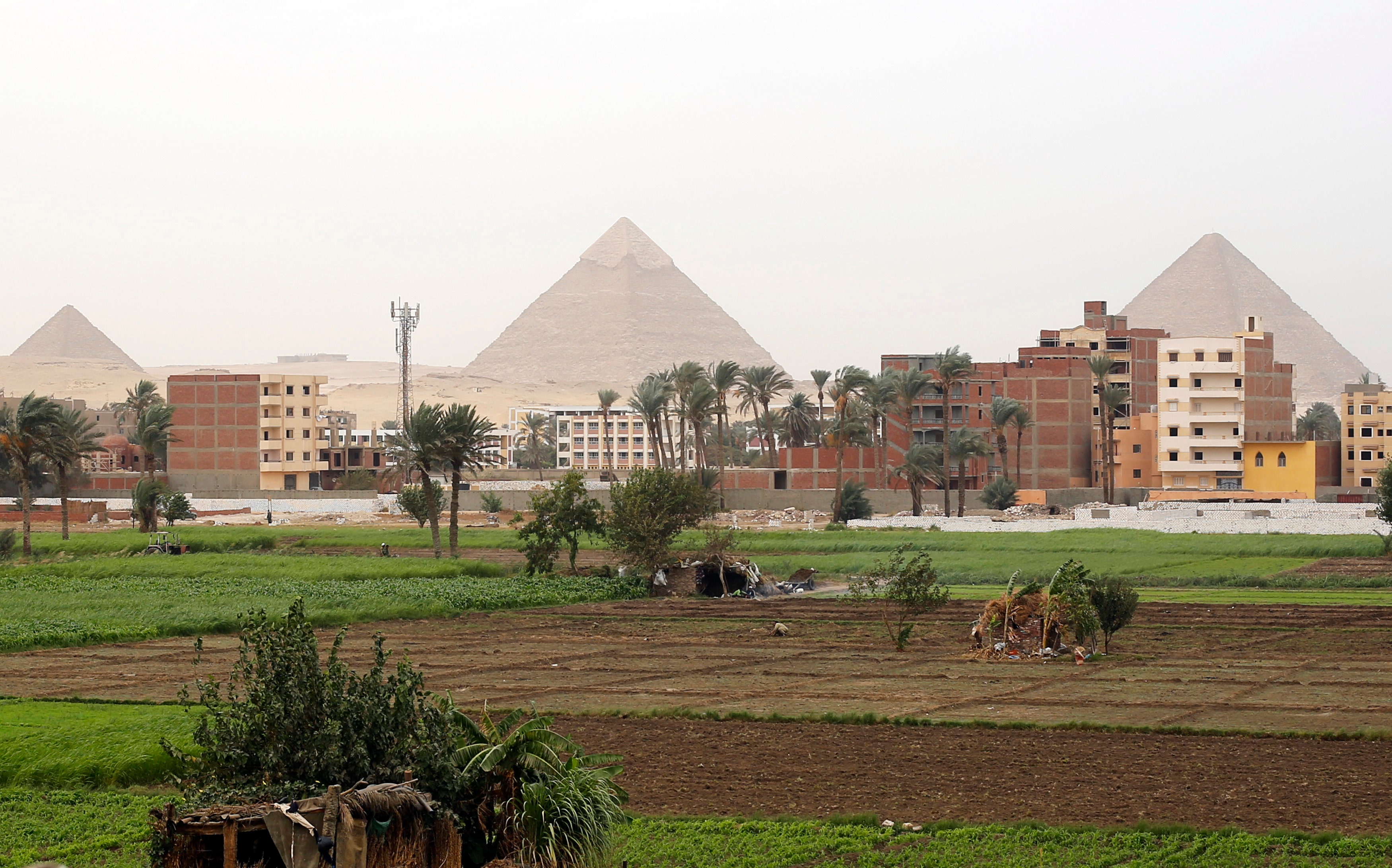 Giza