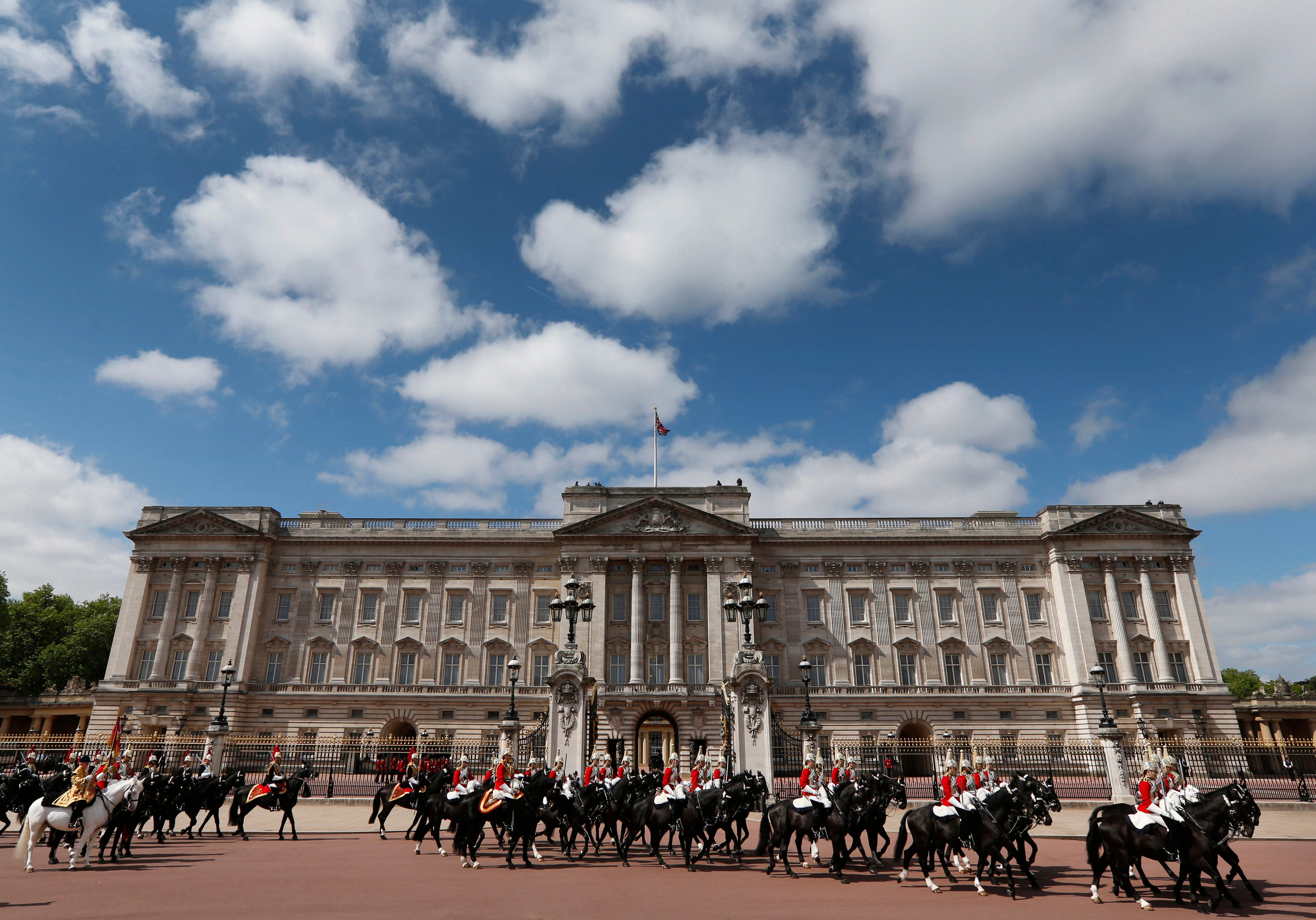 'Magic' mushrooms in Royal Garden: What is Fly Agaric?