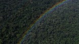 Mysterious earthen rings predate Amazon rainforest
