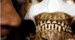 Human ancestor discovery