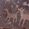 Albuquerque uses 'elephant