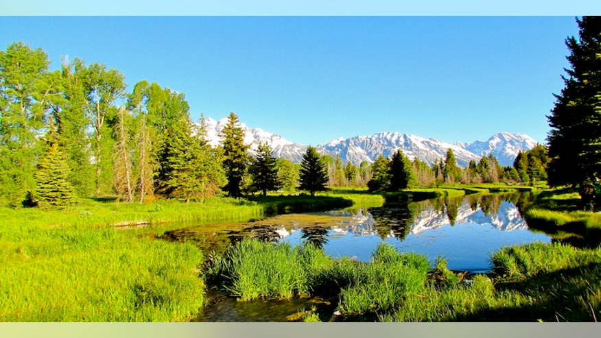 Featured Image
