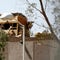 US officers killed 2 Yemenis during April abduction attempt