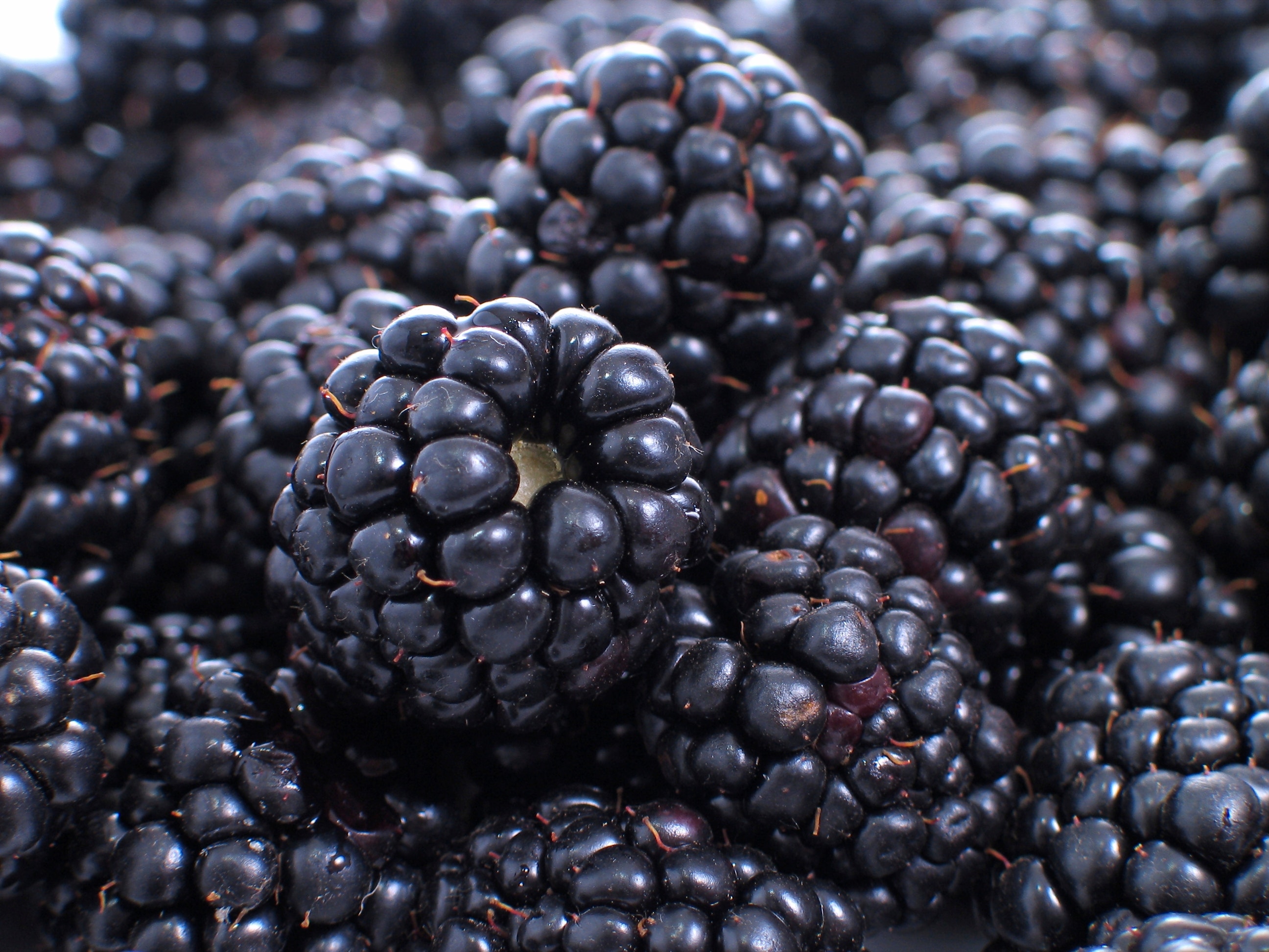 Official Snacks State By State Slideshow Fox News