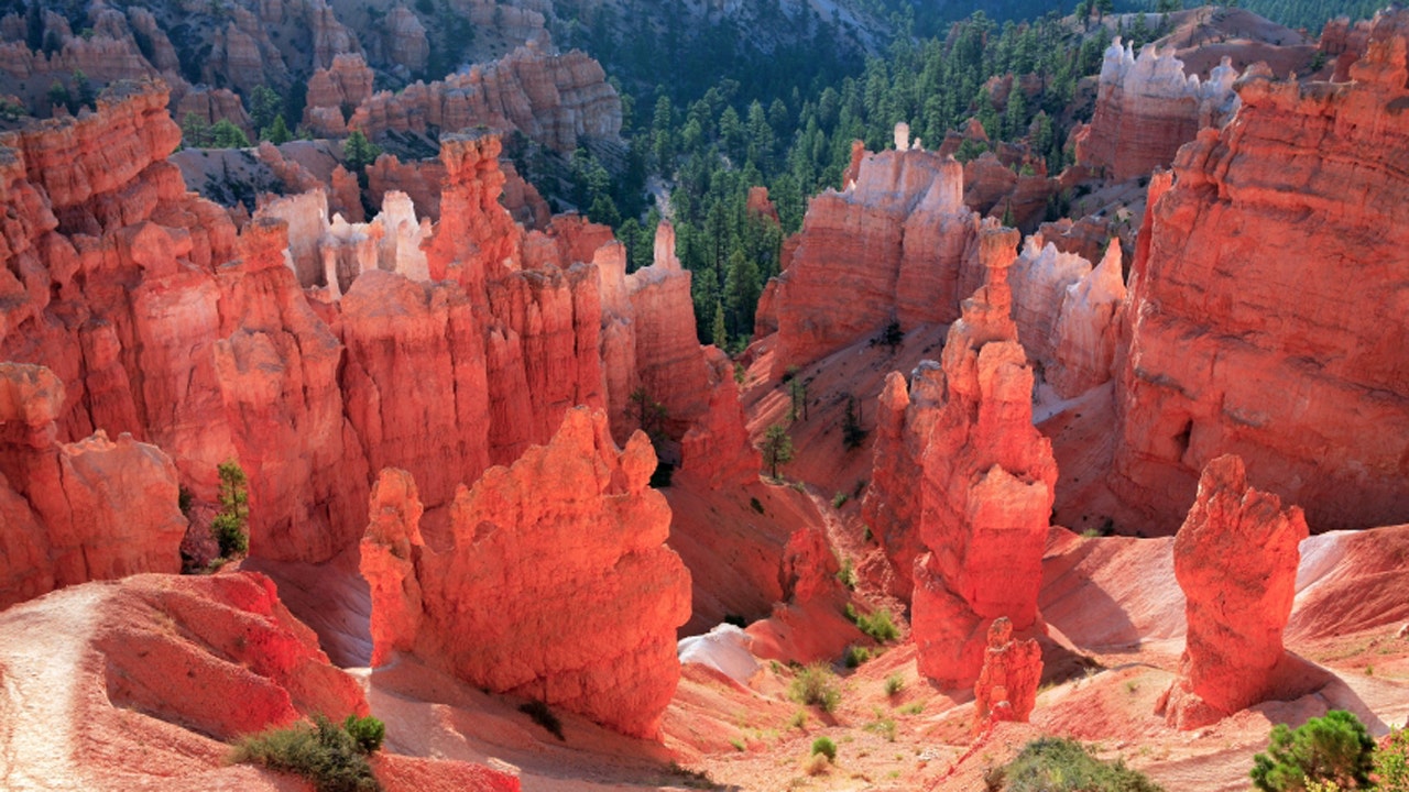 bryce canyon muslim girl personals Reasons to visit bryce canyon, utah for an outdoor vacation five facts about bryce canyon, utah add comment gary is the gay guy that every girl wants to be. bryce canyon muslim girl personals Reasons to visit bryce canyon, utah for an outdoor vacation five facts about bryce canyon, utah add comment gary is the gay guy that every girl wants to be.