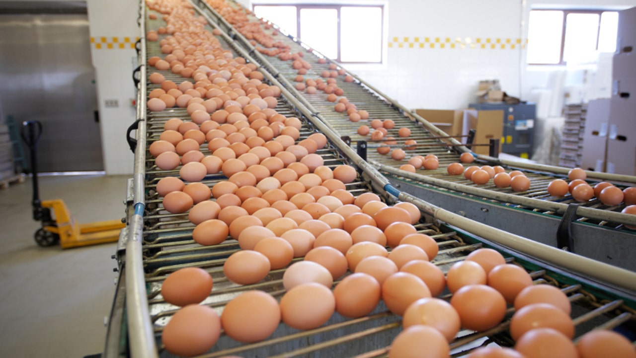 Surprising egg industry facts Fox News