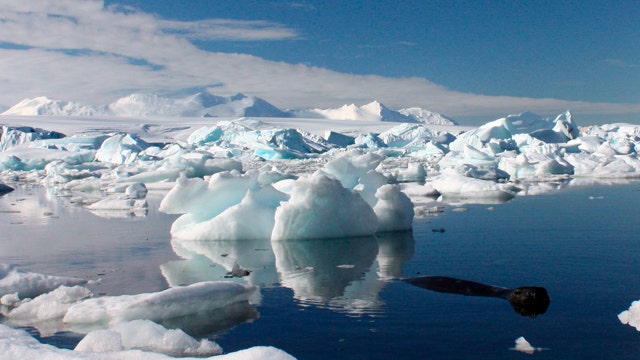 Icebergs Antartica FBN