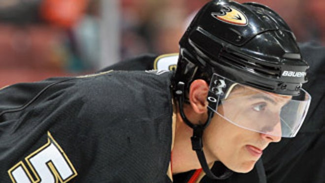 sbisa_325x183_ducks