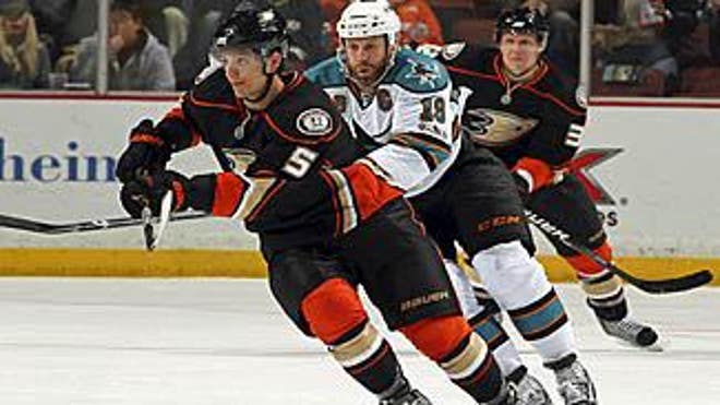 thornton_sharks_vs_ducks