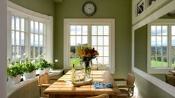 For most indoor plants, the light from a west-facing window is a welcome compromise between the bright but usually weaker light from an east-facing window and the direct and often very bright light let in through a south-facing window. As a result, plants that like a little more light but can’t handle hot direct sun are happiest with this exposure. It’s often a good location for flowering houseplants as well as ones with variegated or even nongreen foliage, as it tends to intensify foliage color.