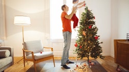 How to care for your Christmas tree, according to the experts.