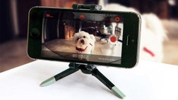 ‘Tis the season for opportunistic thievery, but in reality, burglars don’t discriminate against other months.