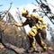Northern California wildfire burns 100 homes in border town
